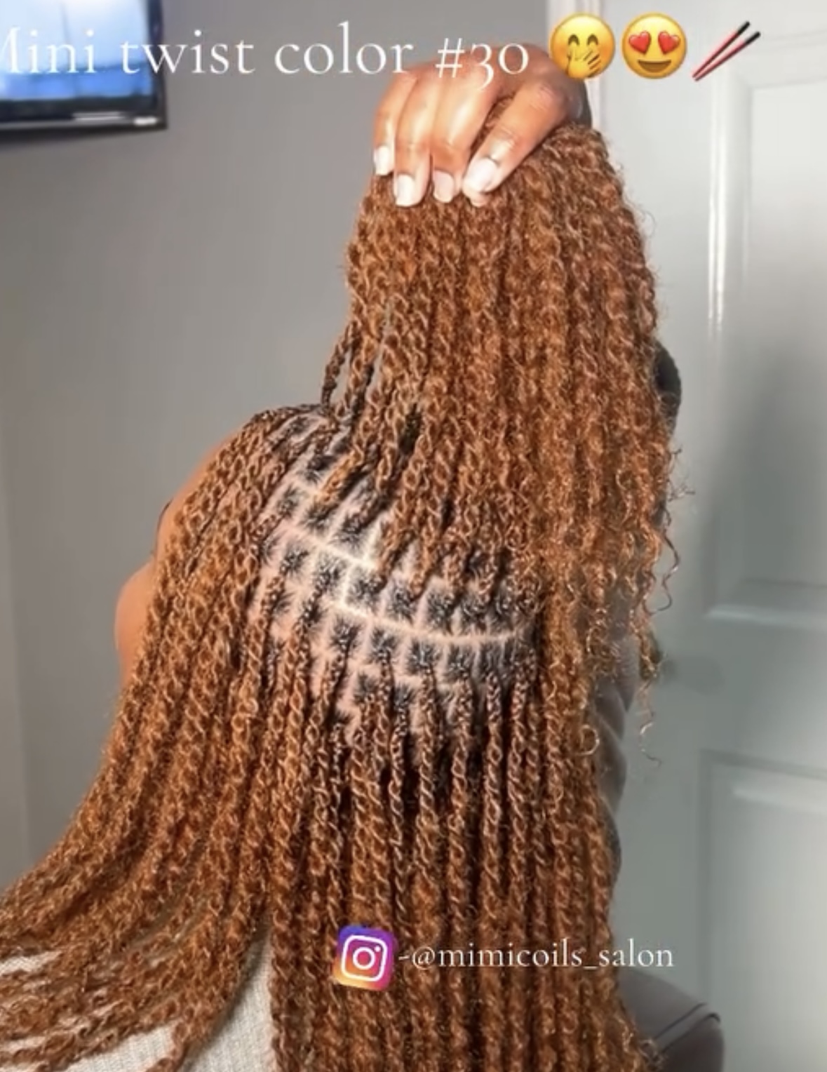 Mini Twist
