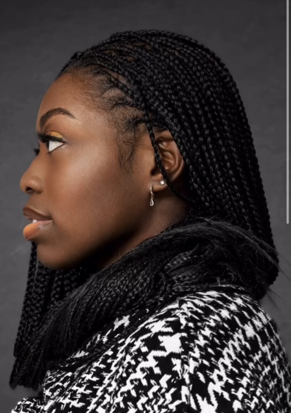 Knotless Braid